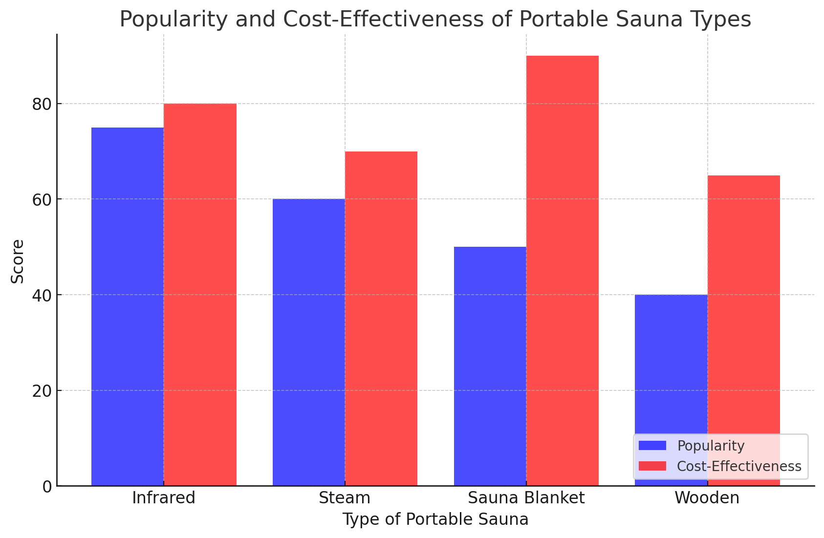 Types of Portable Saunas